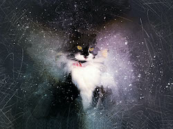 kitty cat painting